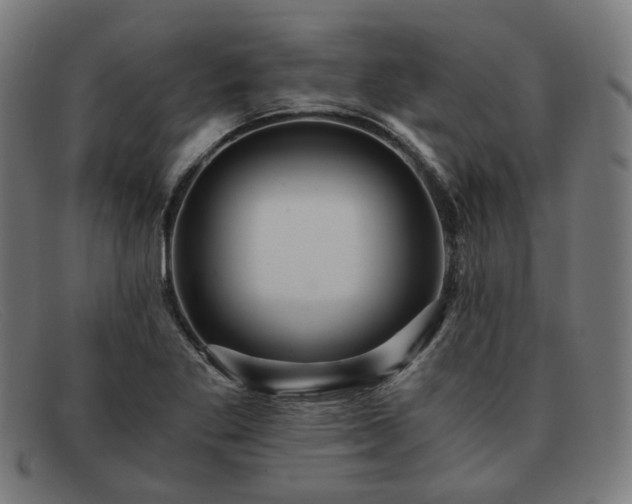 X0000091901269200709121452