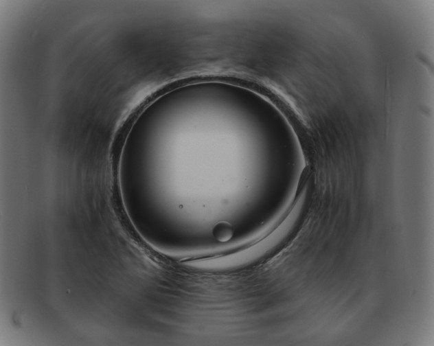 X0000091901270200709121452