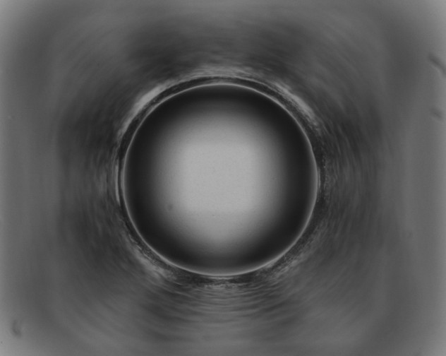 X0000091901272200709121452