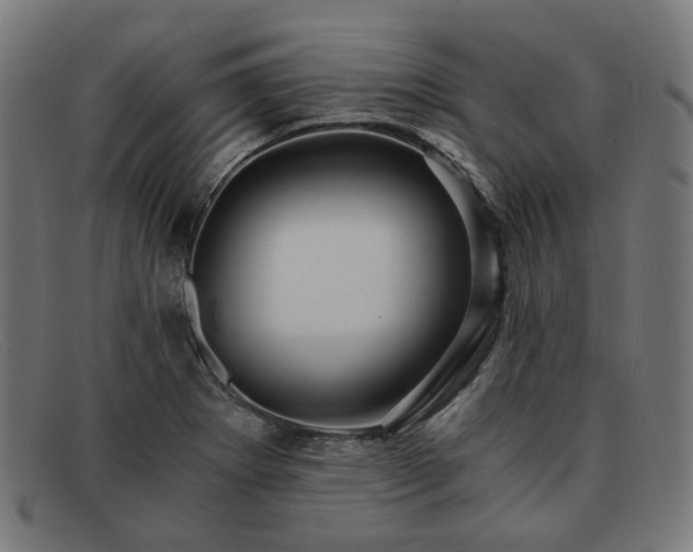 X0000091901273200709121452