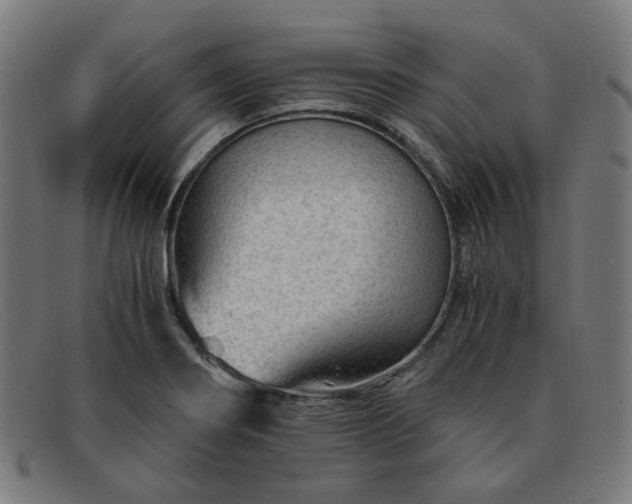 X0000091901274200709121452