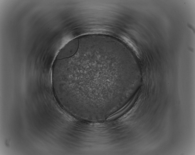 X0000091901275200709121452