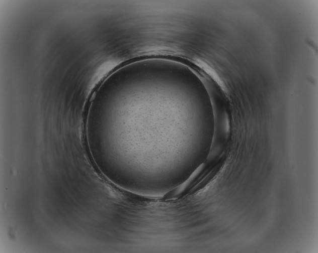 X0000091901277200709121452