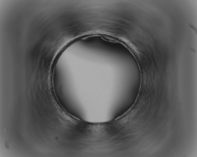 X0000091901278200709121452