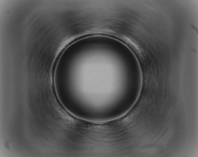 X0000091901280200709121452