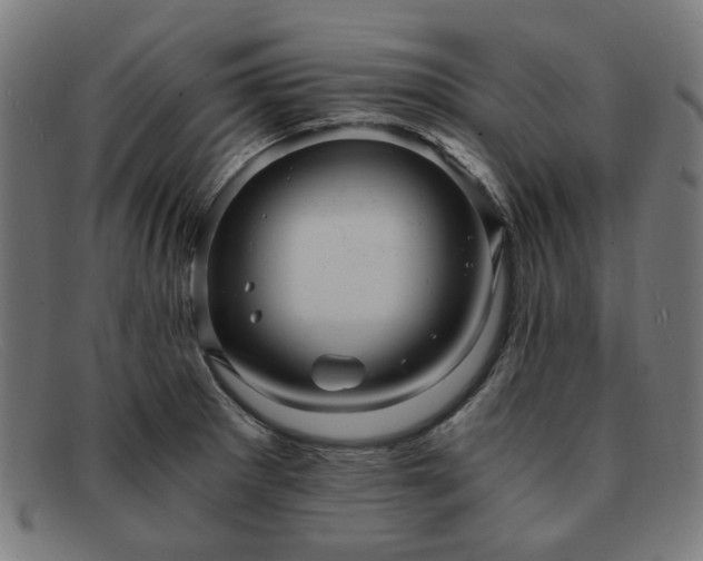 X0000091901281200709121452