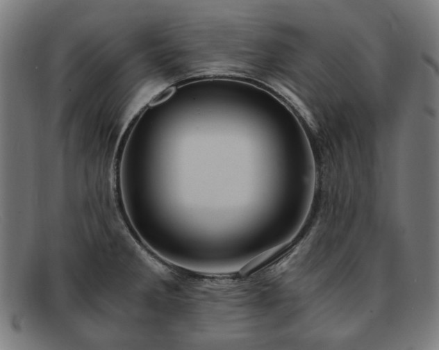 X0000091901285200709121452