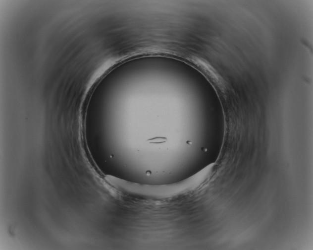 X0000091901286200709121452