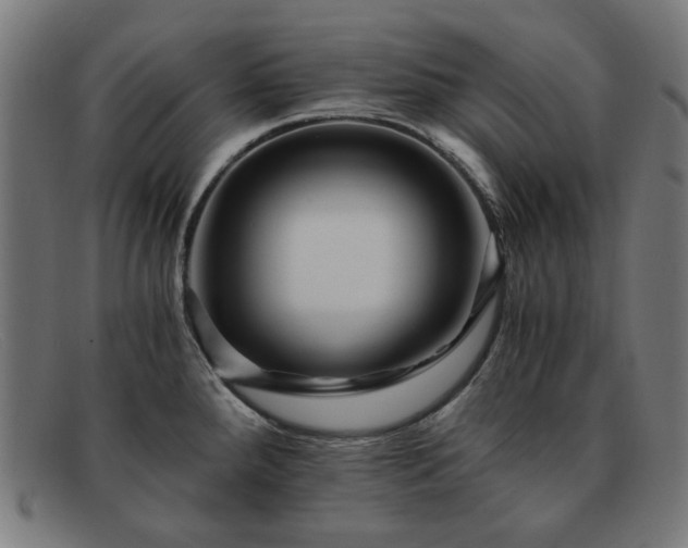 X0000091901288200709121452