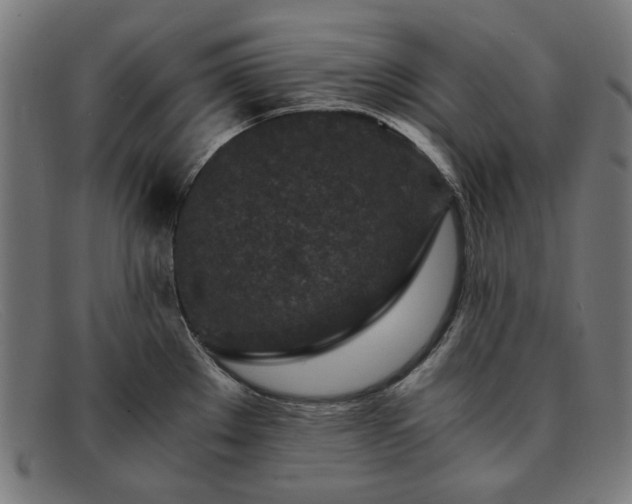 X0000091901289200709121452