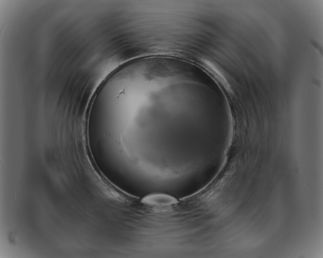 X0000091901291200709121452