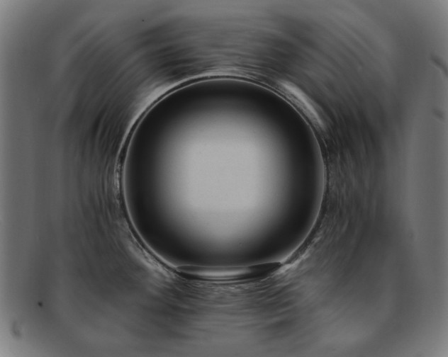 X0000091901292200709121452