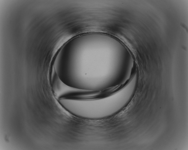 X0000091901293200709121452