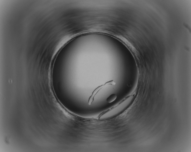 X0000091901294200709121452