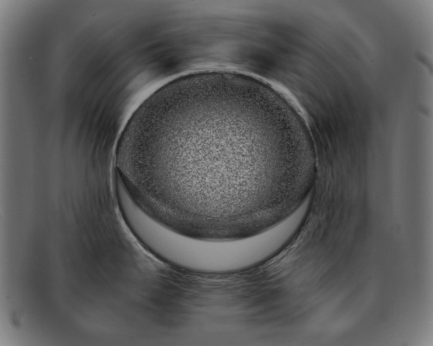 X0000091901295200709121452