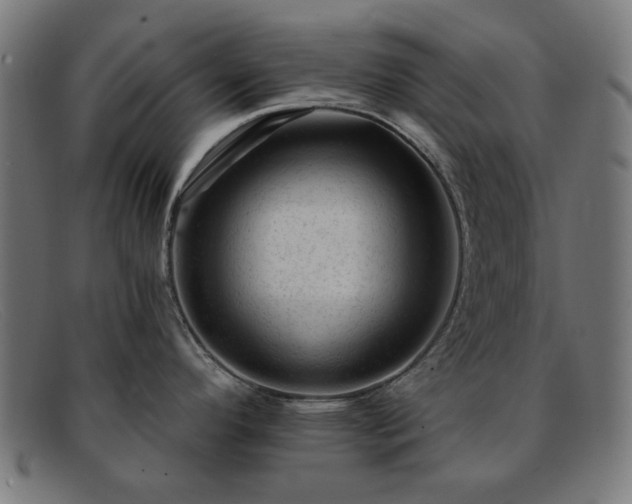 X0000091901296200709121452