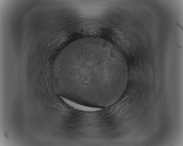 X0000091901297200709121451