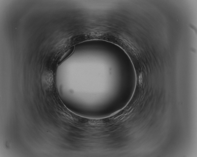 X0000091901299200709121451