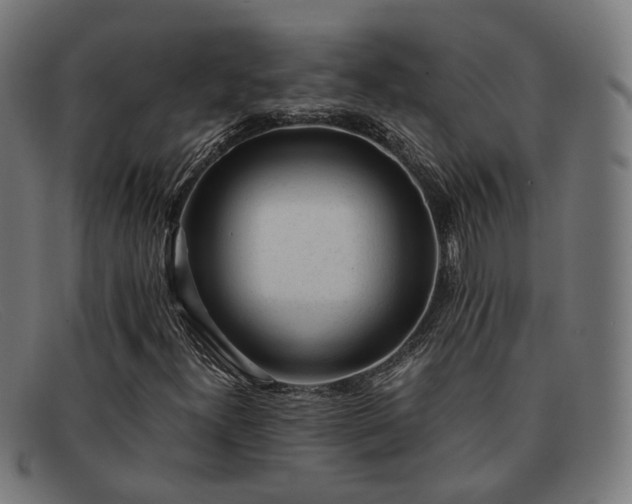 X0000091901300200709121451