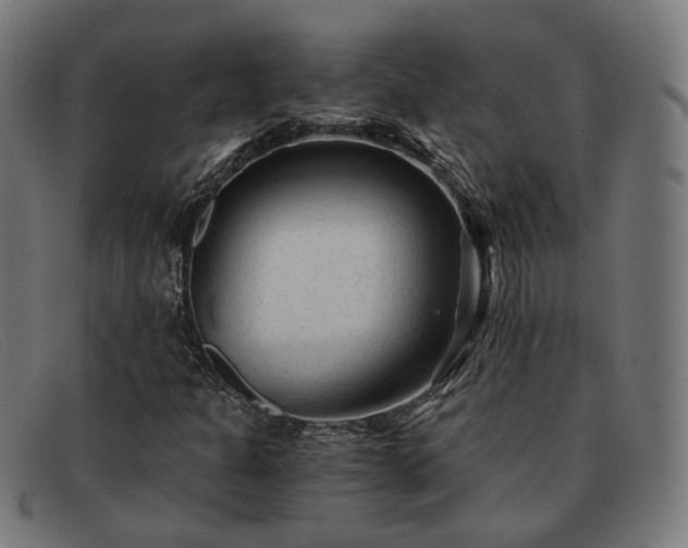 X0000091901301200709121451