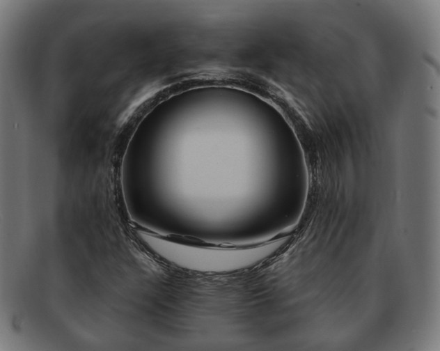 X0000091901304200709121451