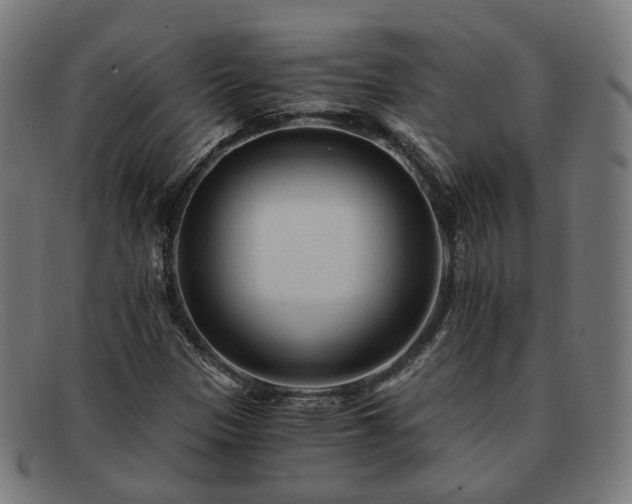 X0000091901305200709121451