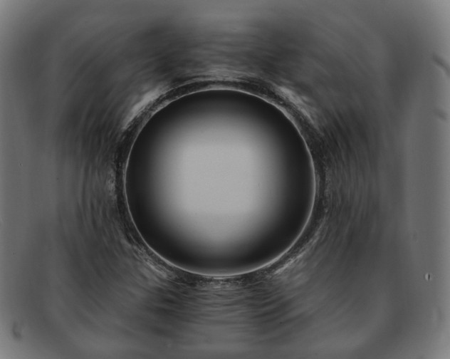 X0000091901307200709121451