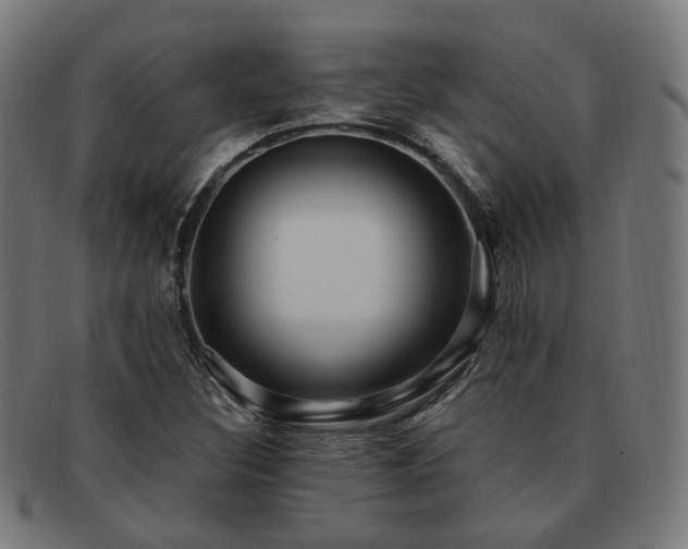 X0000091901308200709121451