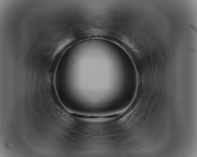 X0000091901309200709121451