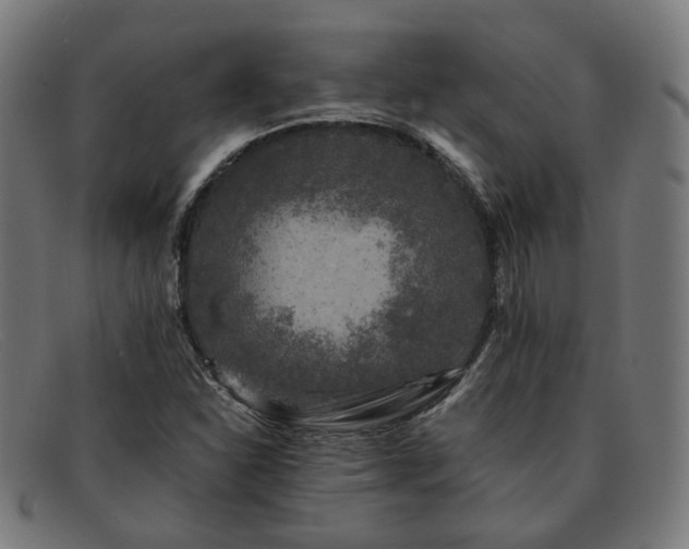 X0000091901310200709121451