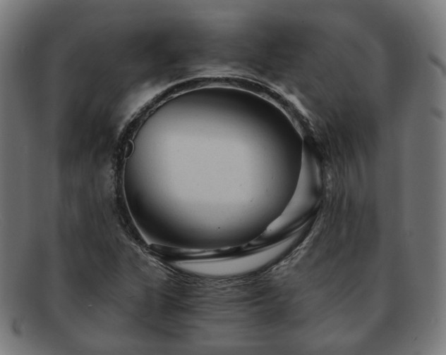 X0000091901311200709121451