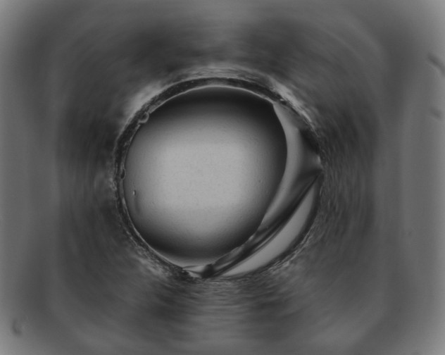 X0000091901312200709121451