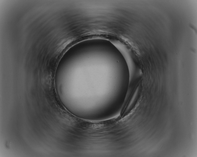 X0000091901313200709121451