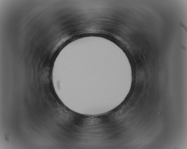 X0000091901314200709121451