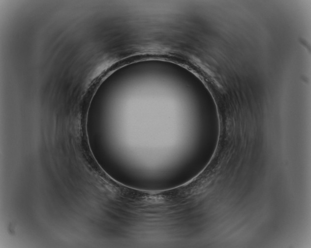 X0000091901315200709121451