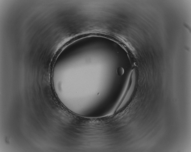 X0000091901316200709121451