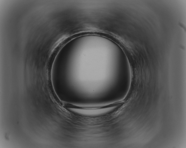 X0000091901318200709121451