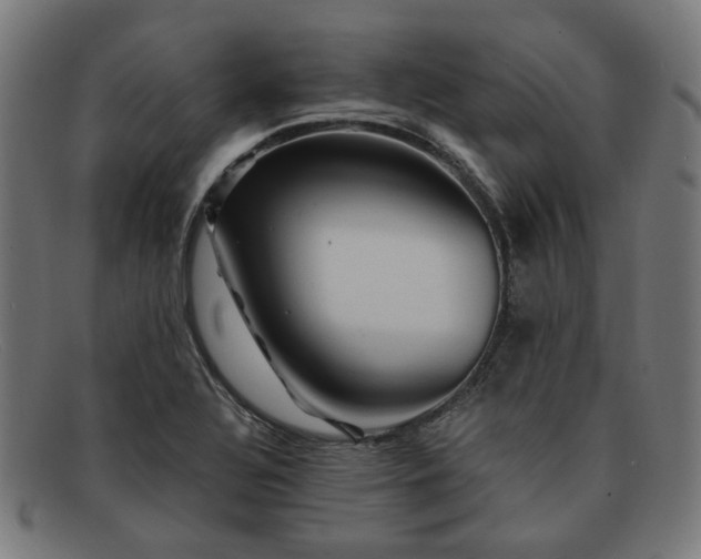 X0000091901320200709121451