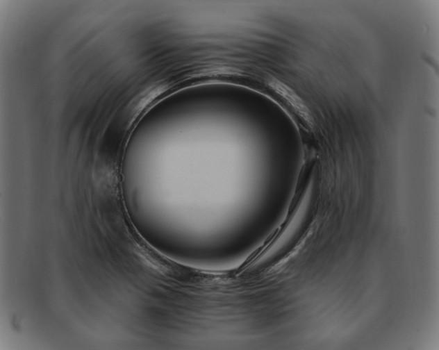 X0000091901321200709121451