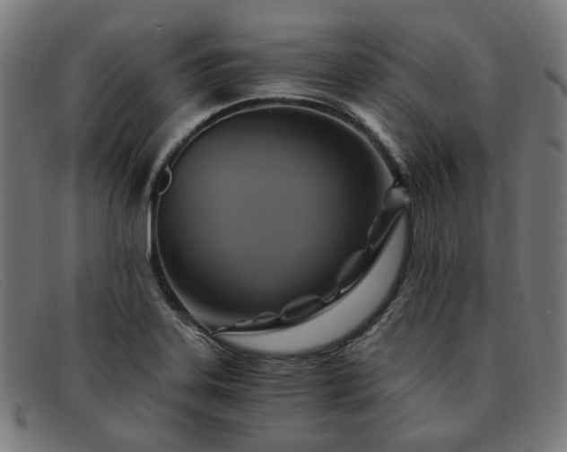 X0000091901323200709121451