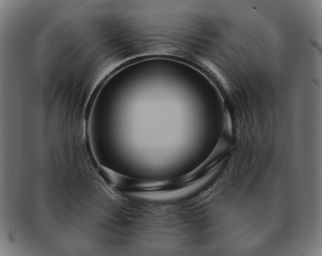 X0000091901324200709121451