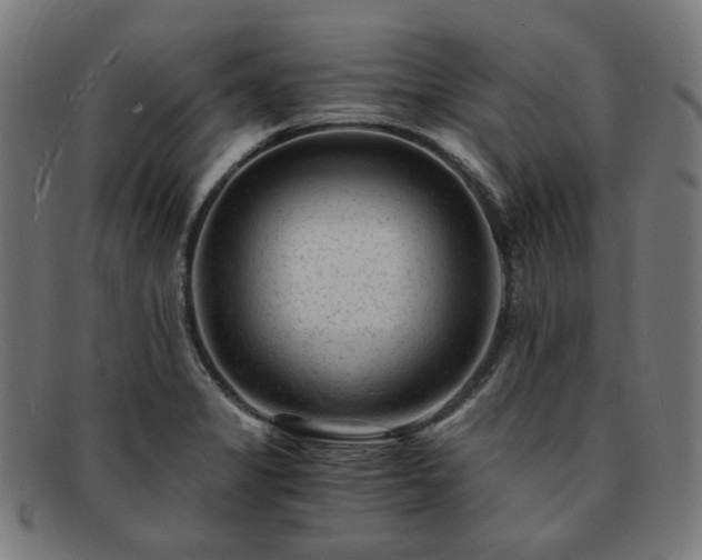 X0000091901325200709121451