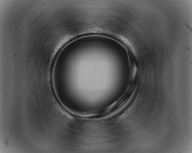 X0000091901326200709121451