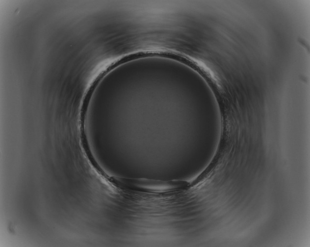 X0000091901327200709121451