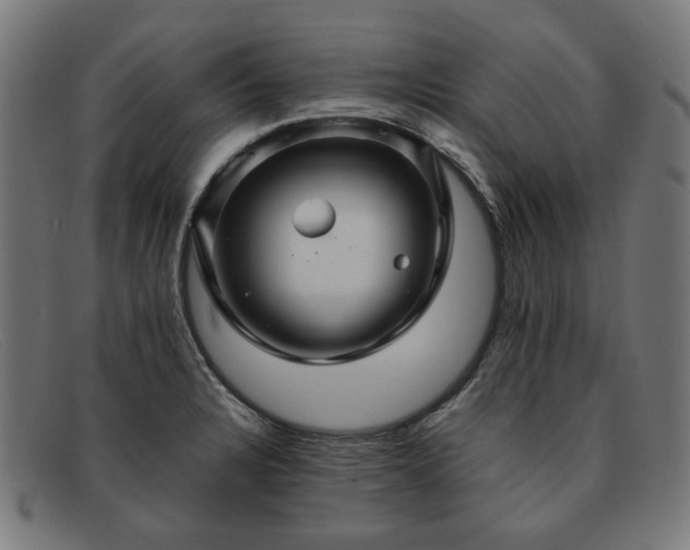 X0000091901328200709121451