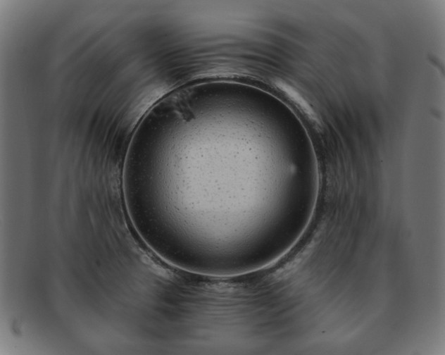 X0000091901329200709121451