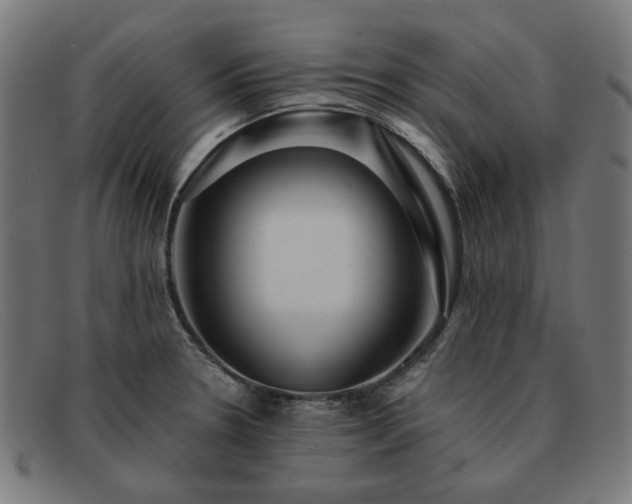 X0000091901330200709121451