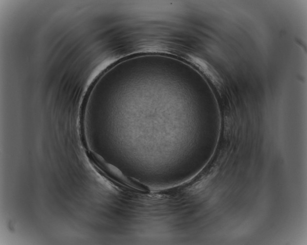 X0000091901331200709121451