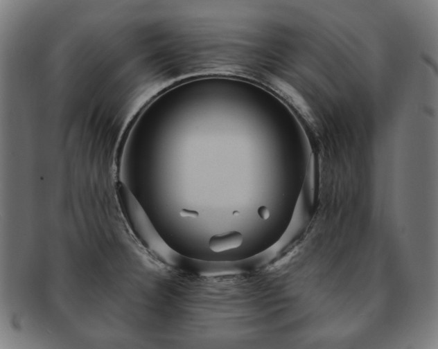 X0000091901332200709121451