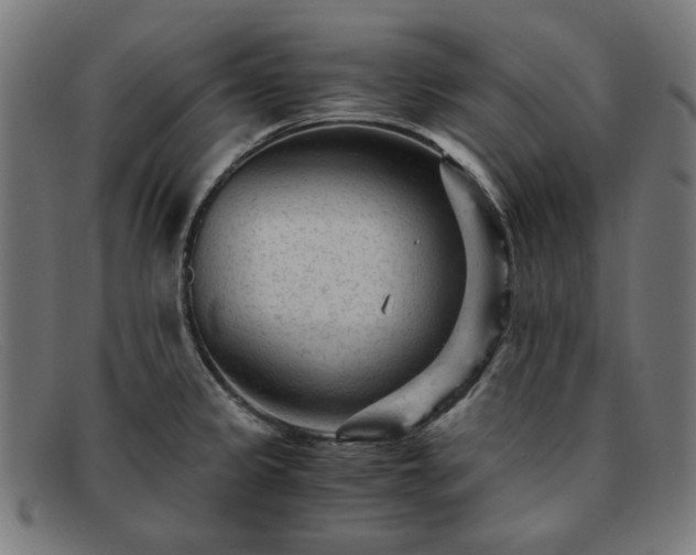 X0000091901333200709121451